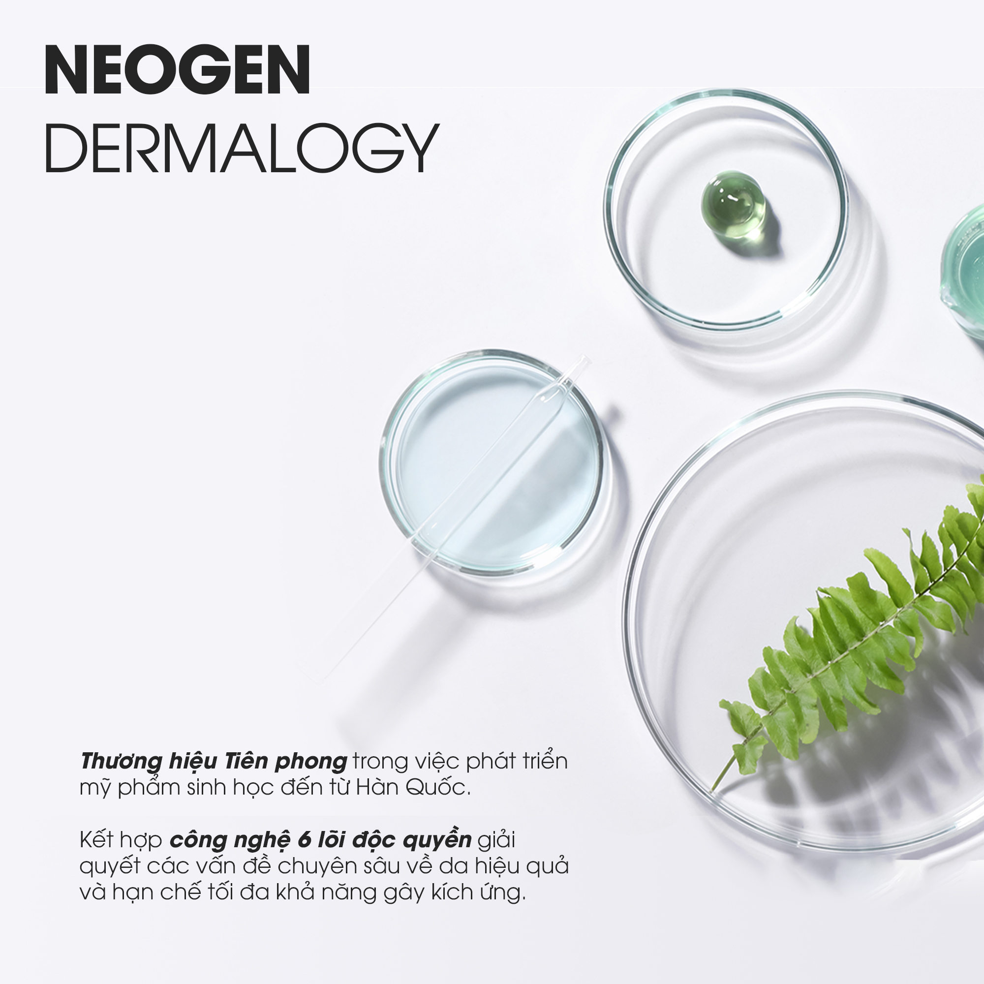 Mô tả Serum 15% Niacinamide Sinh Học Kiềm Dầu Giảm Mụn Dưỡng Sáng Da Neogen Dermalogy Real Niacinamide Firming 30ml - 6
