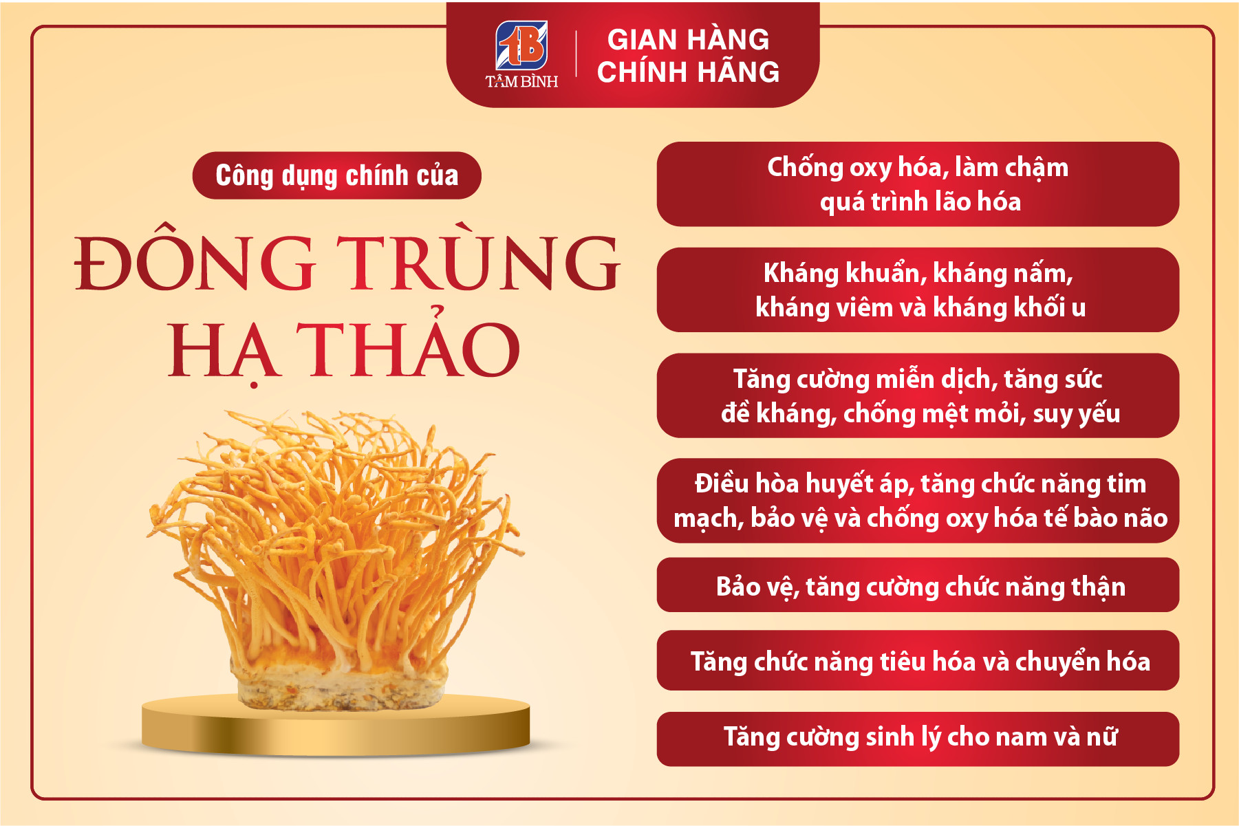 Mô tả Đông Trùng Hạ Thảo Tâm Bình, Món Quà Thượng Hạng Cho Sức Khỏe, Công Nghệ Sấy Thăng Hoa Đạt Chuẩn, Hộp 10g - 2