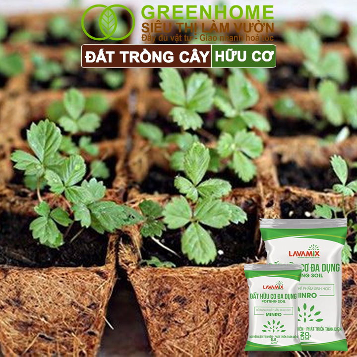 Đất trồng cây Lavamix dùng bón lót