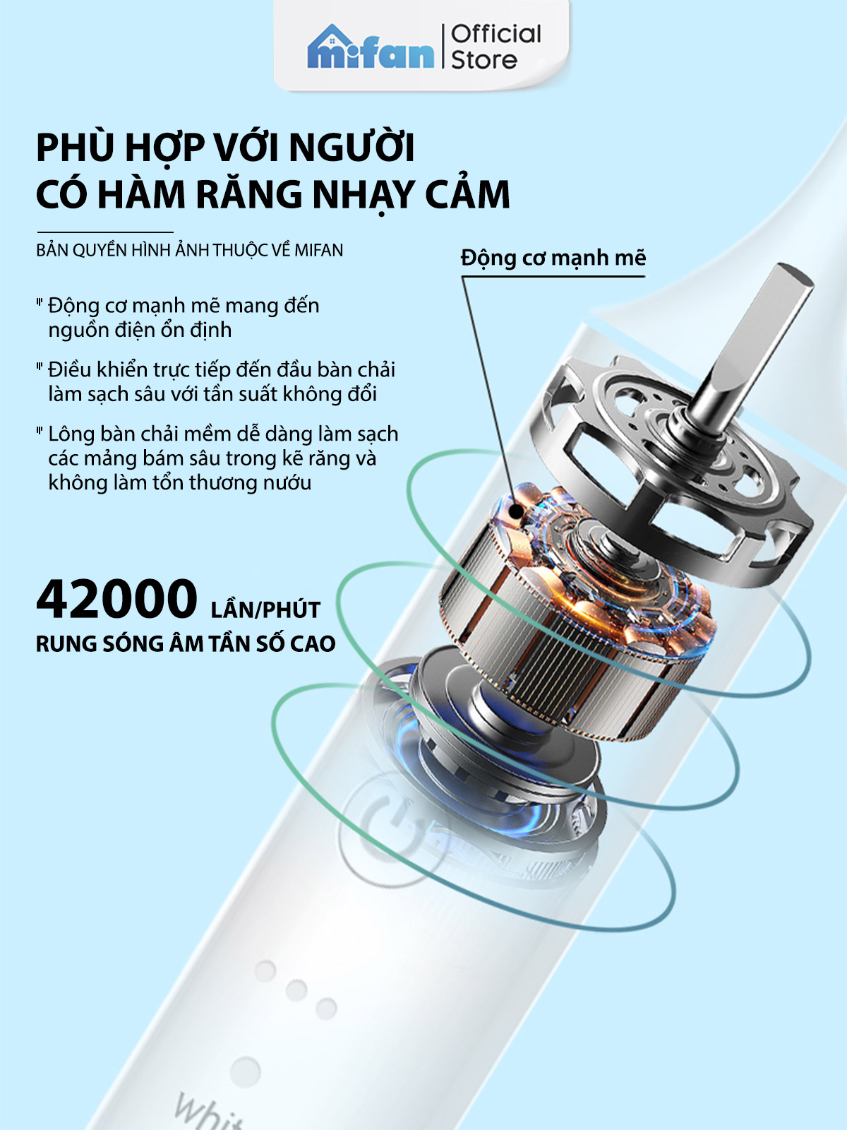 Lông bàn chải DuPont Đức