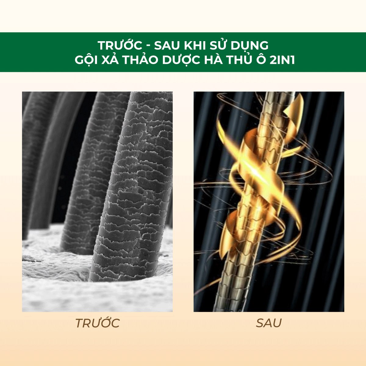 Mô tả Dầu Gội Thảo Dược Hà Thủ Ô 2in1 Cỏ Cây Hoa Lá 420g - DƯỠNG ẨM CHO TÓC ĐEN MỀM MƯỢT - 7