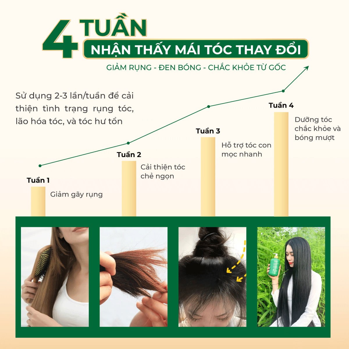 Mô tả Dầu Gội Thảo Dược Hà Thủ Ô 2in1 Cỏ Cây Hoa Lá 420g - DƯỠNG ẨM CHO TÓC ĐEN MỀM MƯỢT - 5