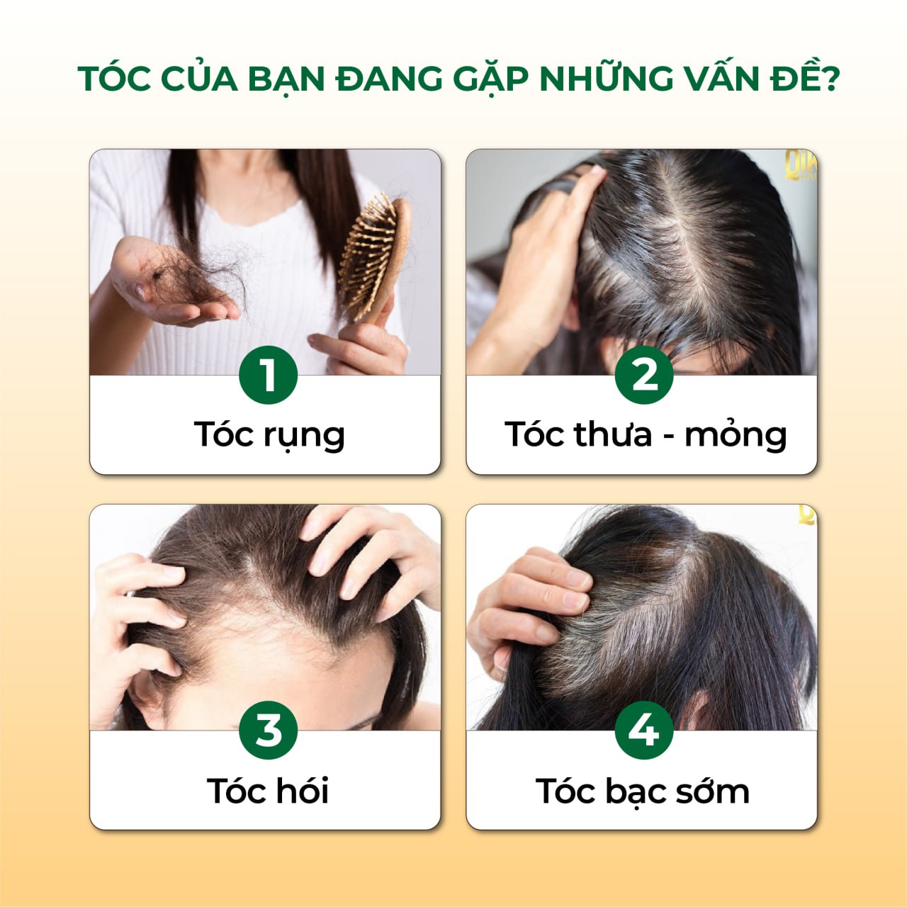 Mô tả Dầu Gội Thảo Dược Hà Thủ Ô 2in1 Cỏ Cây Hoa Lá 420g - Giảm Gãy Rụng, Dưỡng Tóc Chắc Khỏe - 1