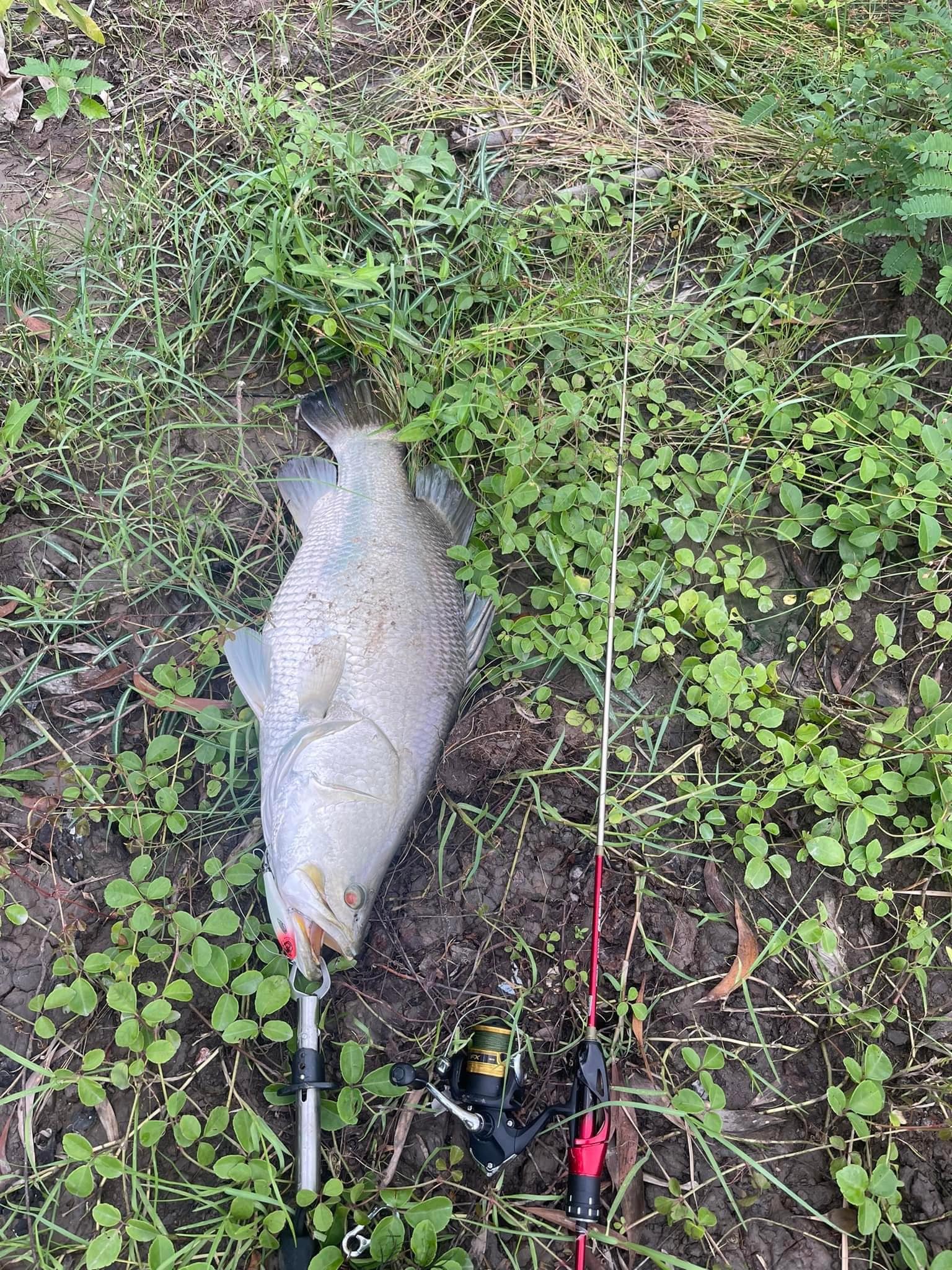 Emma Sjöberg fohisha