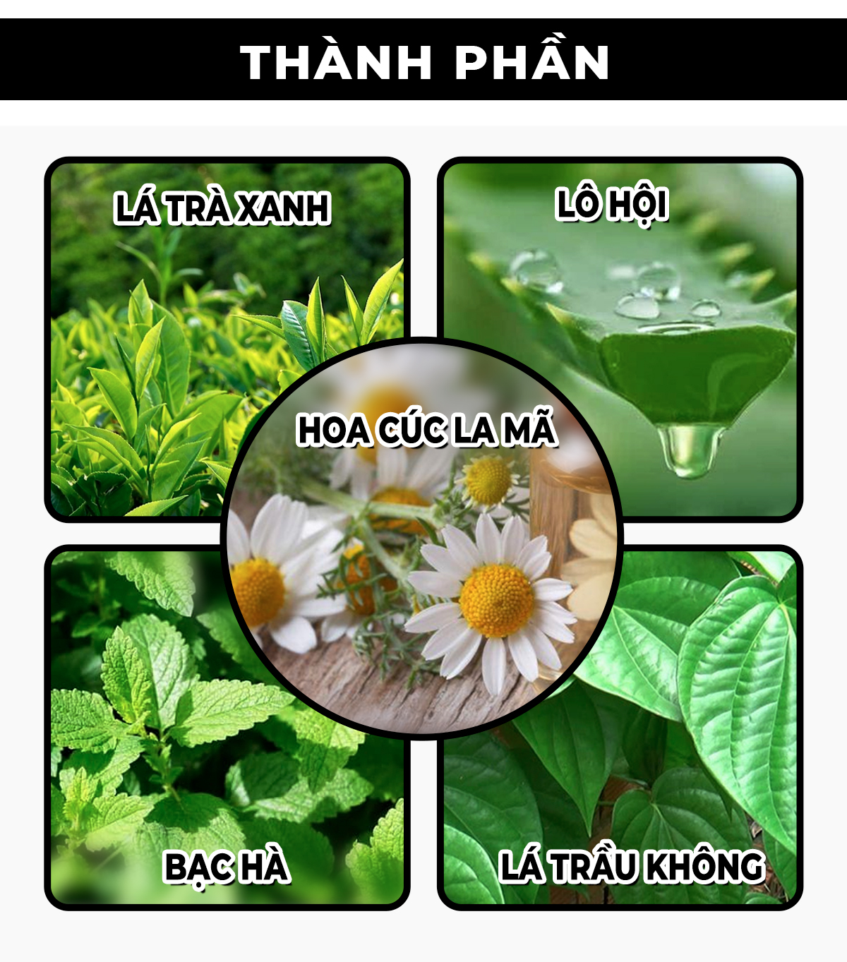 Mô tả Quà tặng khách hàng thân thiết - Dung dịch vệ sinh nam giới Rhys Ultimate - 3