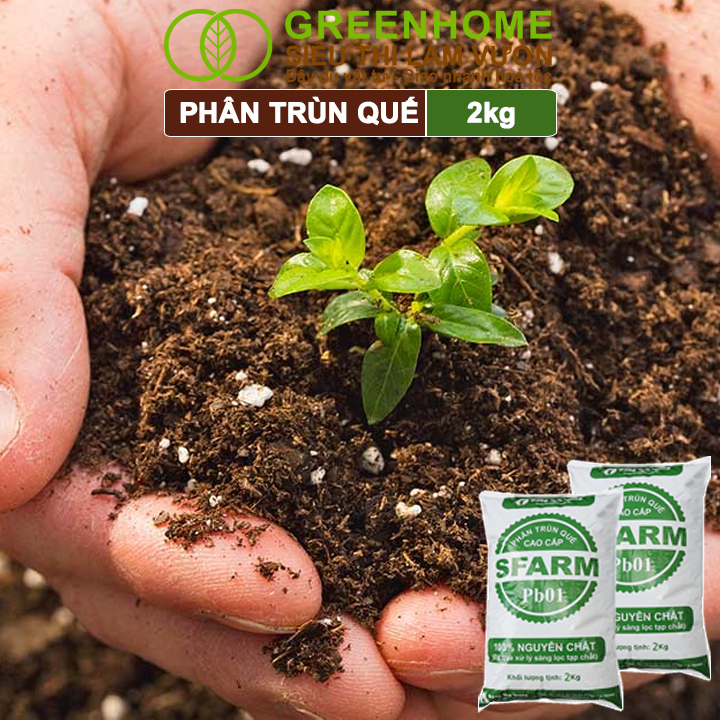 Mô tả Phân Trùn Quế Greenhome, Bao 2kg, Dinh Dưỡng Hữu Cơ, Không Mùi, Tốt Cho Lan, Bonsai, Rau, Cây Trái. - 4