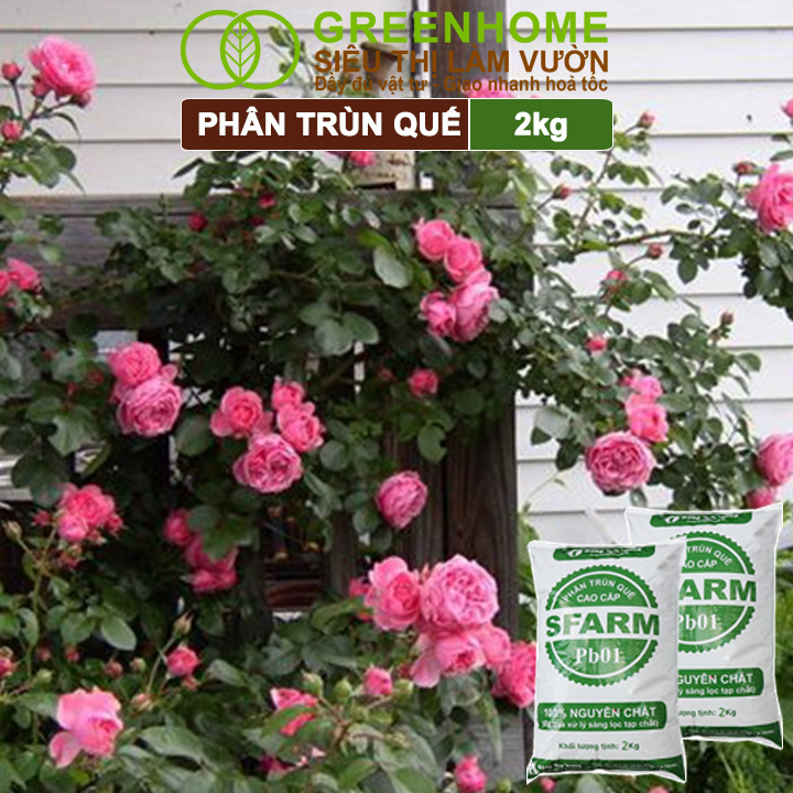 Mô tả Phân Trùn Quế Greenhome, Bao 2kg, Dinh Dưỡng Hữu Cơ, Không Mùi, Tốt Cho Lan, Bonsai, Rau, Cây Trái. - 9