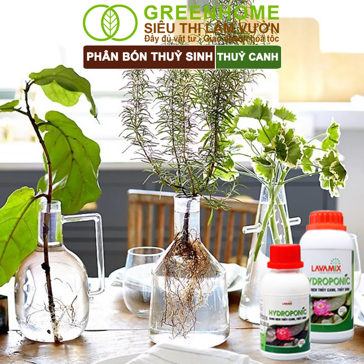 Phân bón cây thủy sinh cung cấp dinh dưỡng