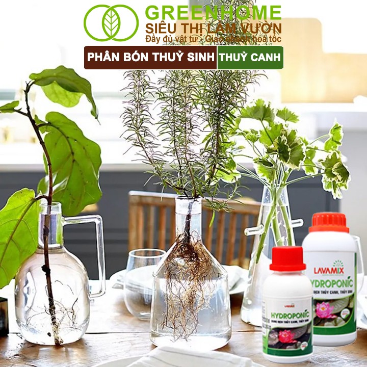 Rễ cây phát triển khỏe mạnh với Greenhome Lavamix