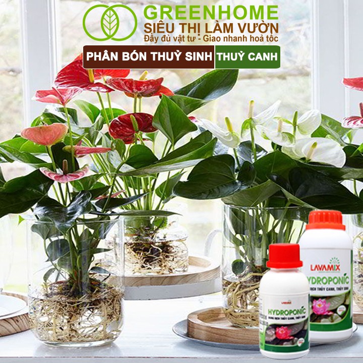 Greenhome Lavamix dùng cho rau thủy canh