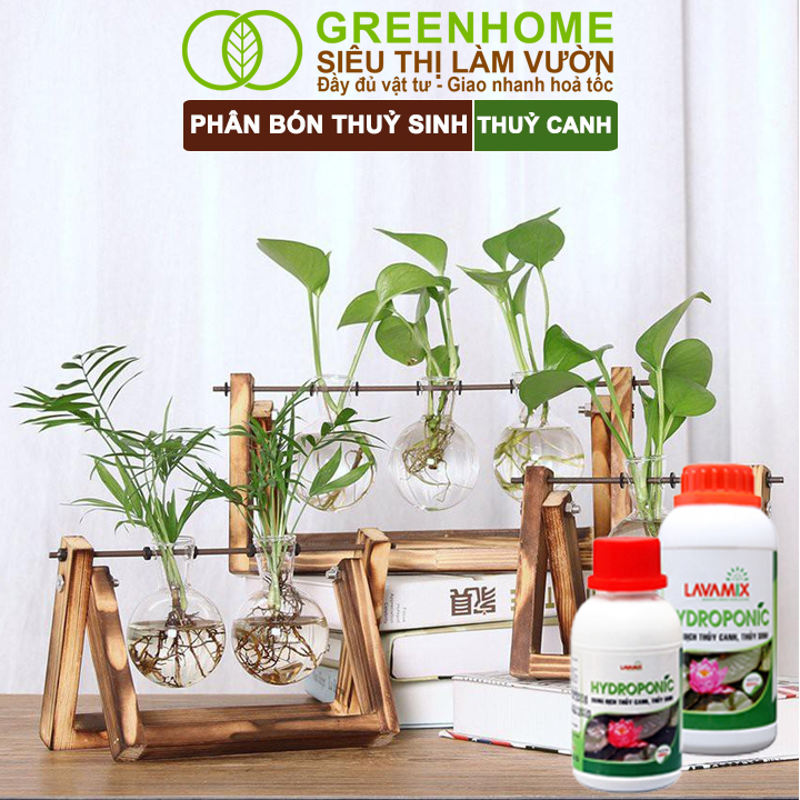 Phân bón cây thủy sinh cho cây cảnh nước