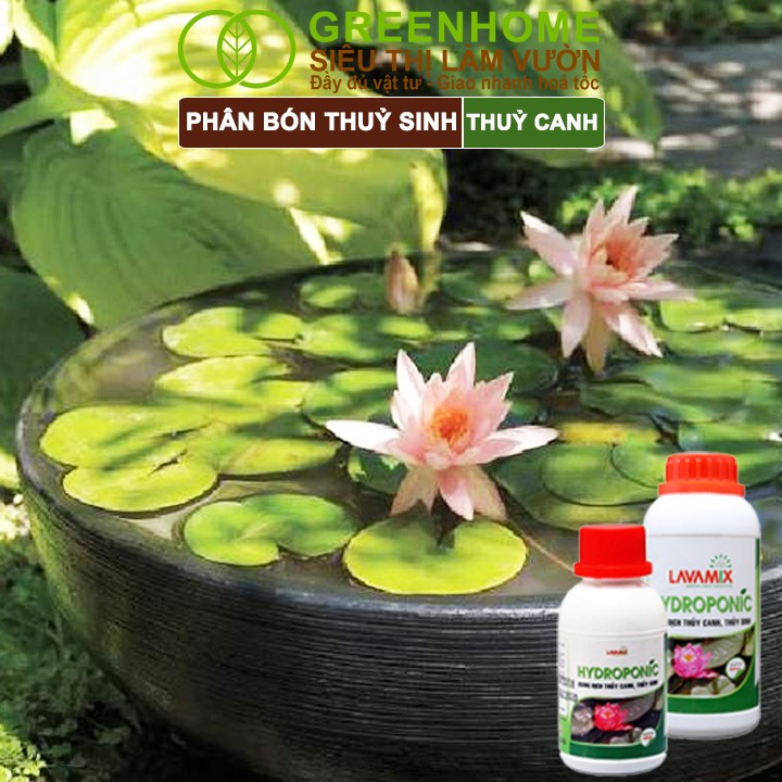Ứng dụng Greenhome Lavamix cho cây cảnh và hồ thủy sinh