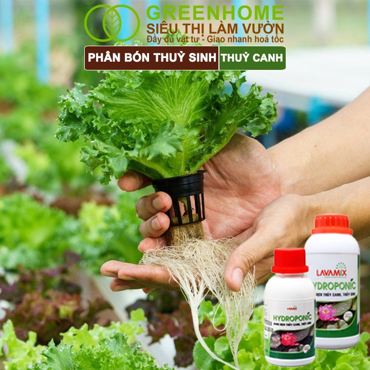 Greenhome Lavamix tốt cho hoa sen và hoa súng
