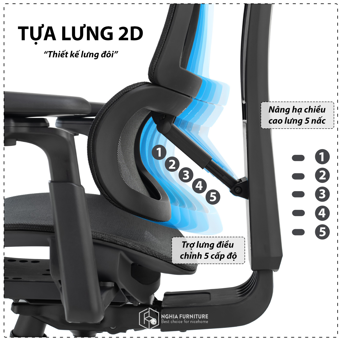 Tựa lưng đôi 2D Ghế Lumbar