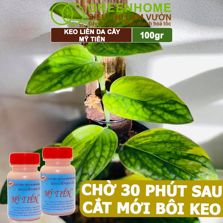 Mô tả Keo Liền Sẹo Cho Cây Greenhome, Mỹ Tiến, Chai 100gr, Liền Nhanh Vết Cắt Da Cây, Chiết Cành - 7