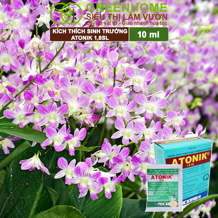 Mô tả Phân bón lá Atonik Greenhome, gói 10ml, thúc đẩy sinh trưởng cây trồng chuyên phong lan, hoa hồng - 5