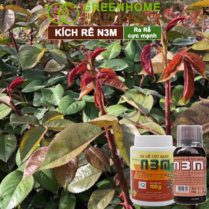 N3M phục hồi rễ sau ngập úng
