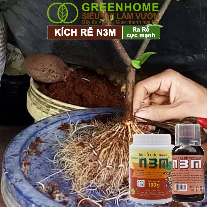 Mô tả Phân Bón Lá Greenhome, N3M, Hũ 100gr, Ra Rễ Cực Mạnh Dùng Giâm, Chiết Cành, Ngâm Hạt, Chuyên Kiểng - 7