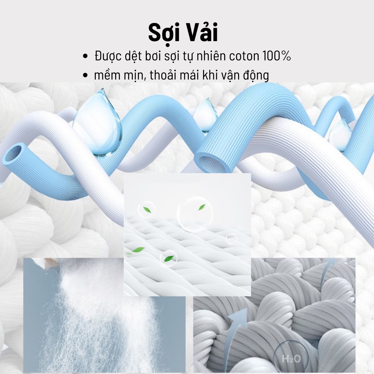 Áo thun GẤU 194 các màu