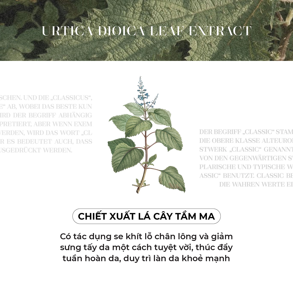 Mô tả Bộ Sản Phẩm Toner và Sữa Rửa Mặt Be'Balance GCLASSIC MINI KIT giúp Làm Đẹp Da 30ml - 9