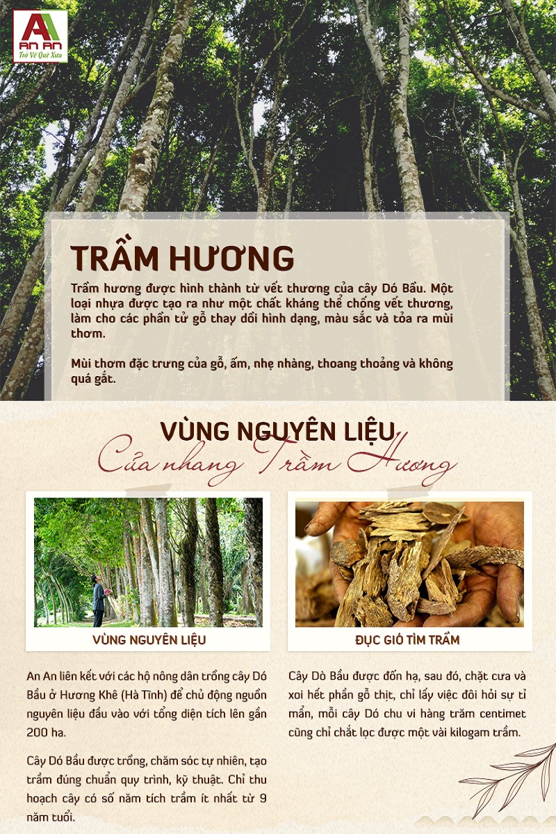 Mô tả Nhang Trầm Hương An An Loại Cao Cấp 30cm, 40cm, nhang thơm tự nhiên giúp thư giãn, an toàn cho gia đình - 1