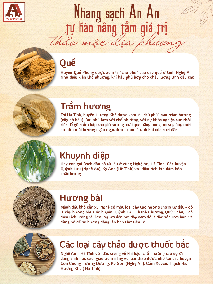 Mô tả Nhang sạch hương thảo mộc 1kg mix 2 mùi An An cao cấp 100% thiên nhiên nhang trầm hương, quế, khuynh diệp an toàn - 1