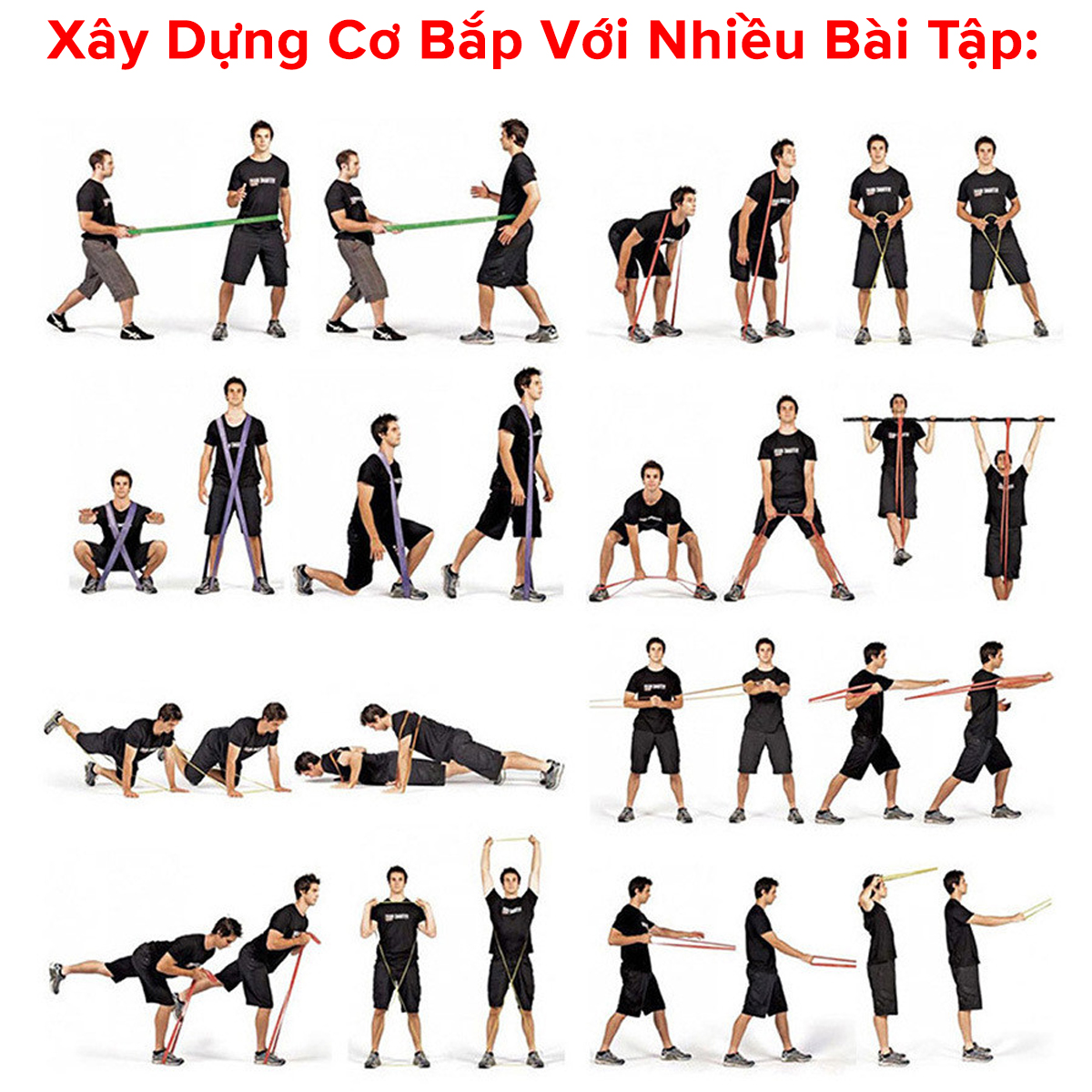 Mô tả Dây Kháng Lực Toàn Thân Power Band Đa Năng, Dây Đàn Hồi Cao Su Tự Nhiên Hỗ Trợ Tập Thể Thao, Lên Xà, Gym AL3602 Aolikes - 4
