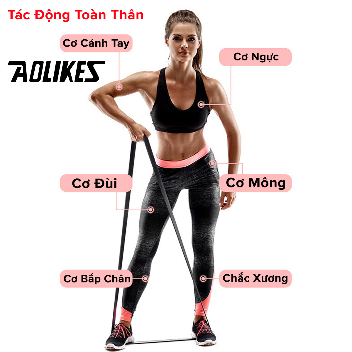 Mô tả Dây Kháng Lực Toàn Thân Power Band Đa Năng, Dây Đàn Hồi Cao Su Tự Nhiên Hỗ Trợ Tập Thể Thao, Lên Xà, Gym AL3602 Aolikes - 6