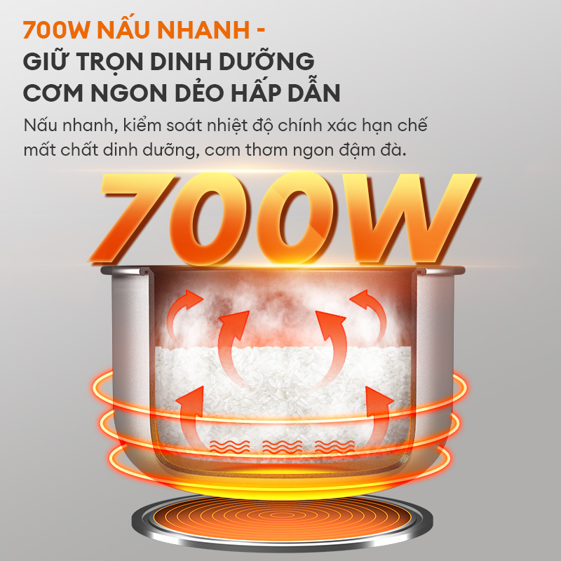 Nồi cơm điện Gaabor RC50M-BE01A