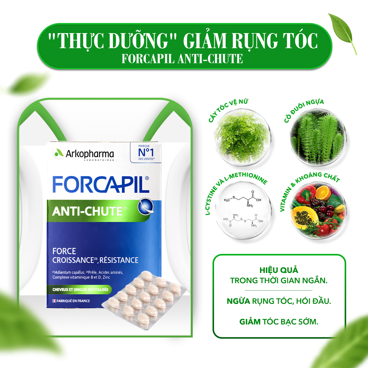 Mô tả Viên Uống Hỗ Trợ Rụng Tóc Hói Đầu, Kích Thích Mọc, Dưỡng Tóc Biotin Arkopharma Anti-chute 30 viên/hộp - 1