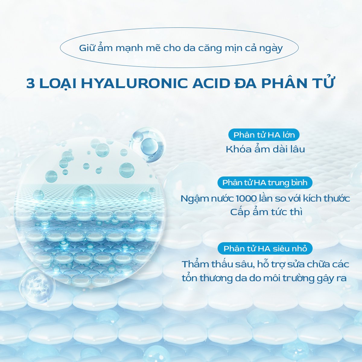 Mô tả Nước hoa hồng cấp ẩm Nacific Hyal Booster Toner 150ml - 2