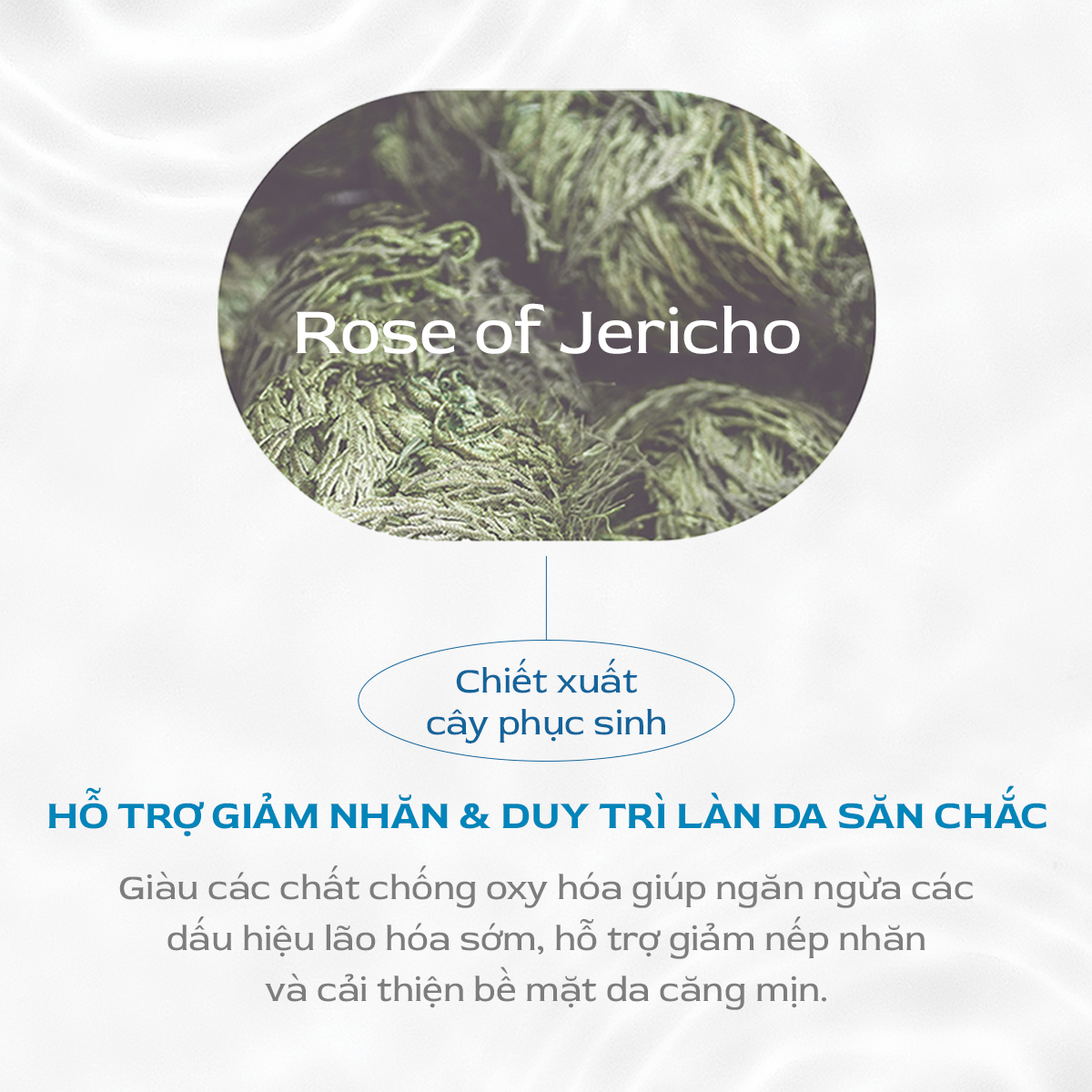 Mô tả Nước hoa hồng cấp ẩm Nacific Hyal Booster Toner 150ml - 6