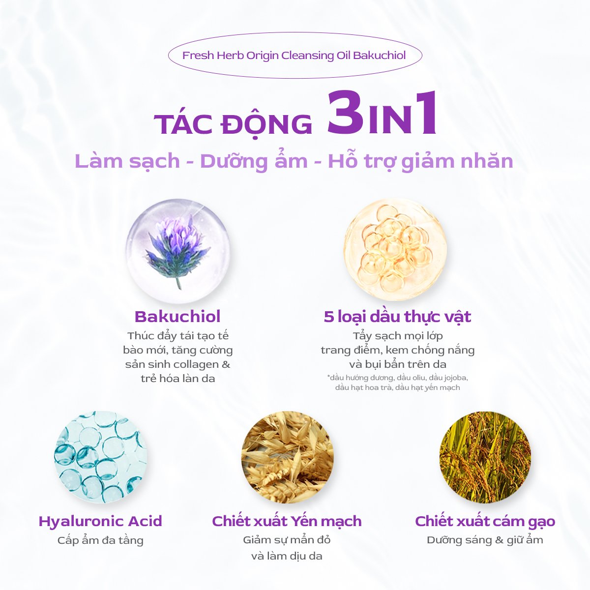 Mô tả Dầu tẩy trang sạch sâu Nacific Fresh Herb Origin Cleansing Oil Bakuchiol 300ml - 2