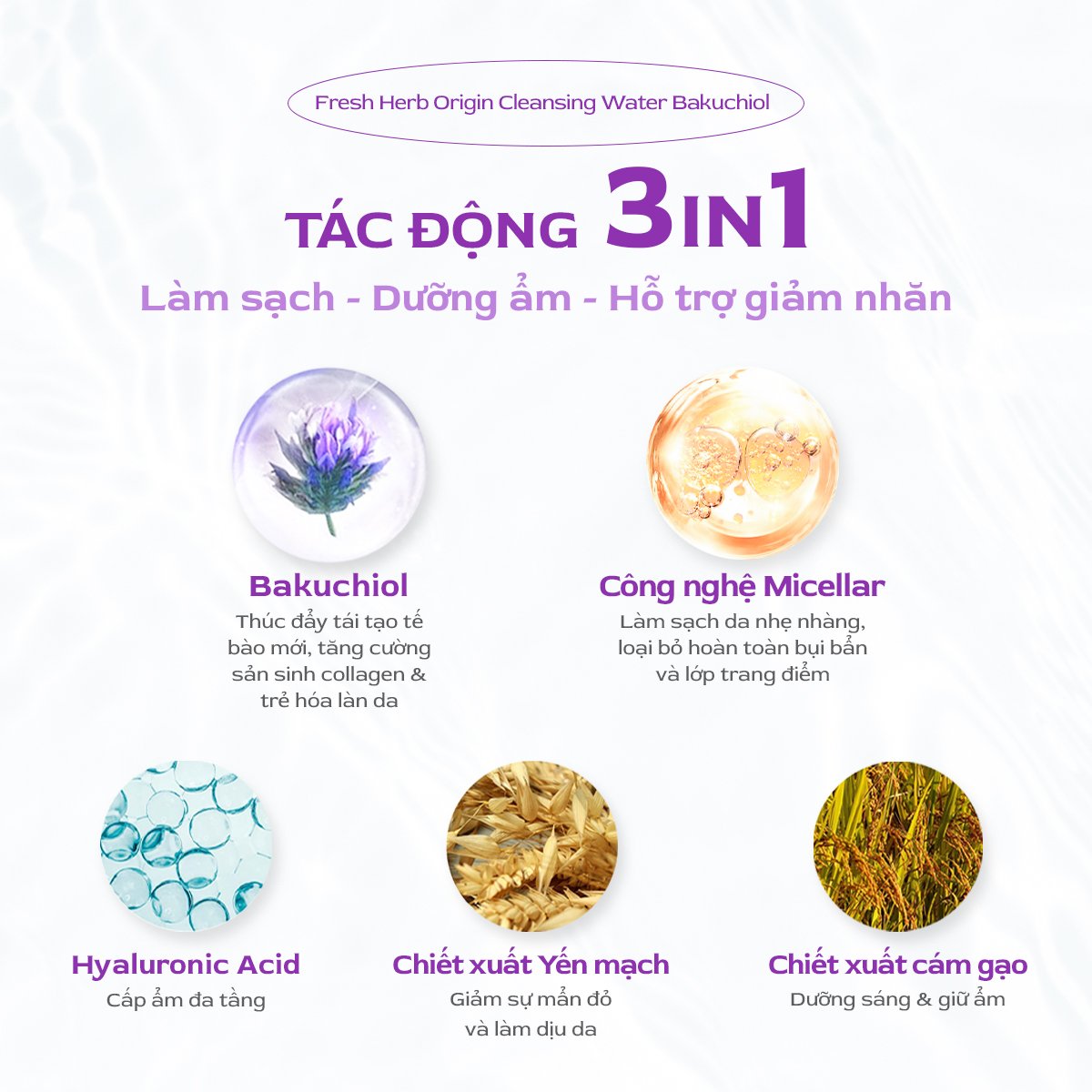 Mô tả Nước tẩy trang sạch sâu Nacific Fresh Herb Origin Cleansing Water Bakuchiol 300ml - 2