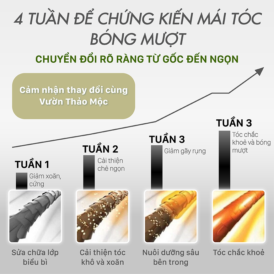 Mô tả Kem ủ tóc Vườn Thảo Mộc cao cấp phục hồi tóc siêu mềm,bóng mượt giảm gãy rụng size 200ml - 4