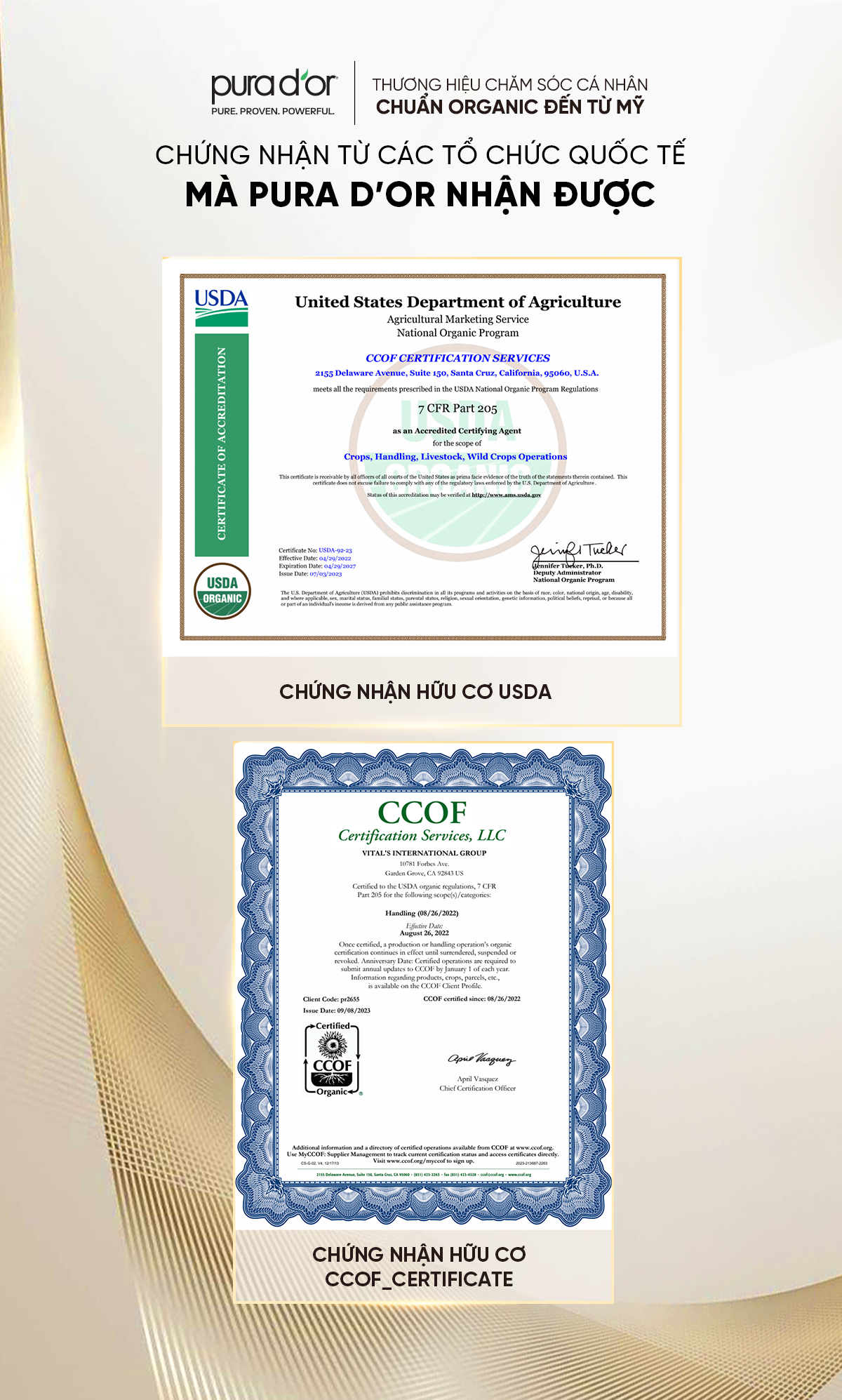 Mô tả Combo Dầu Gội Dầu Xả Hỗ Trợ Giảm Rụng Tóc, Hỗ Trợ Mọc Tóc Biotin Gold Label PURA D'OR 236ML - 3
