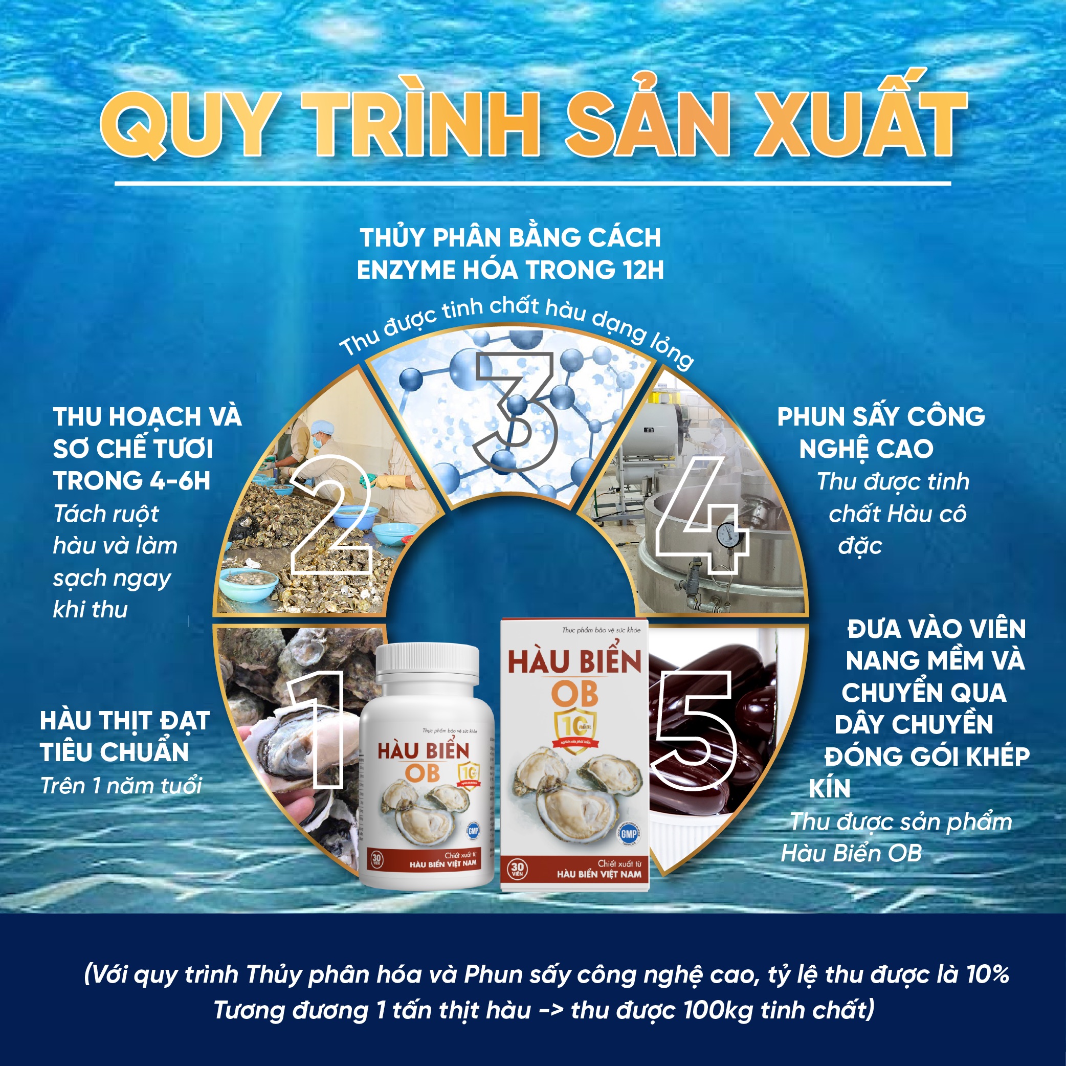 Mô tả Viên uống tăng cường sinh lý nam giới Hàu biển ob bổ sung kẽm, tinh chất hàu (Hộp 30v), ZLove - 7