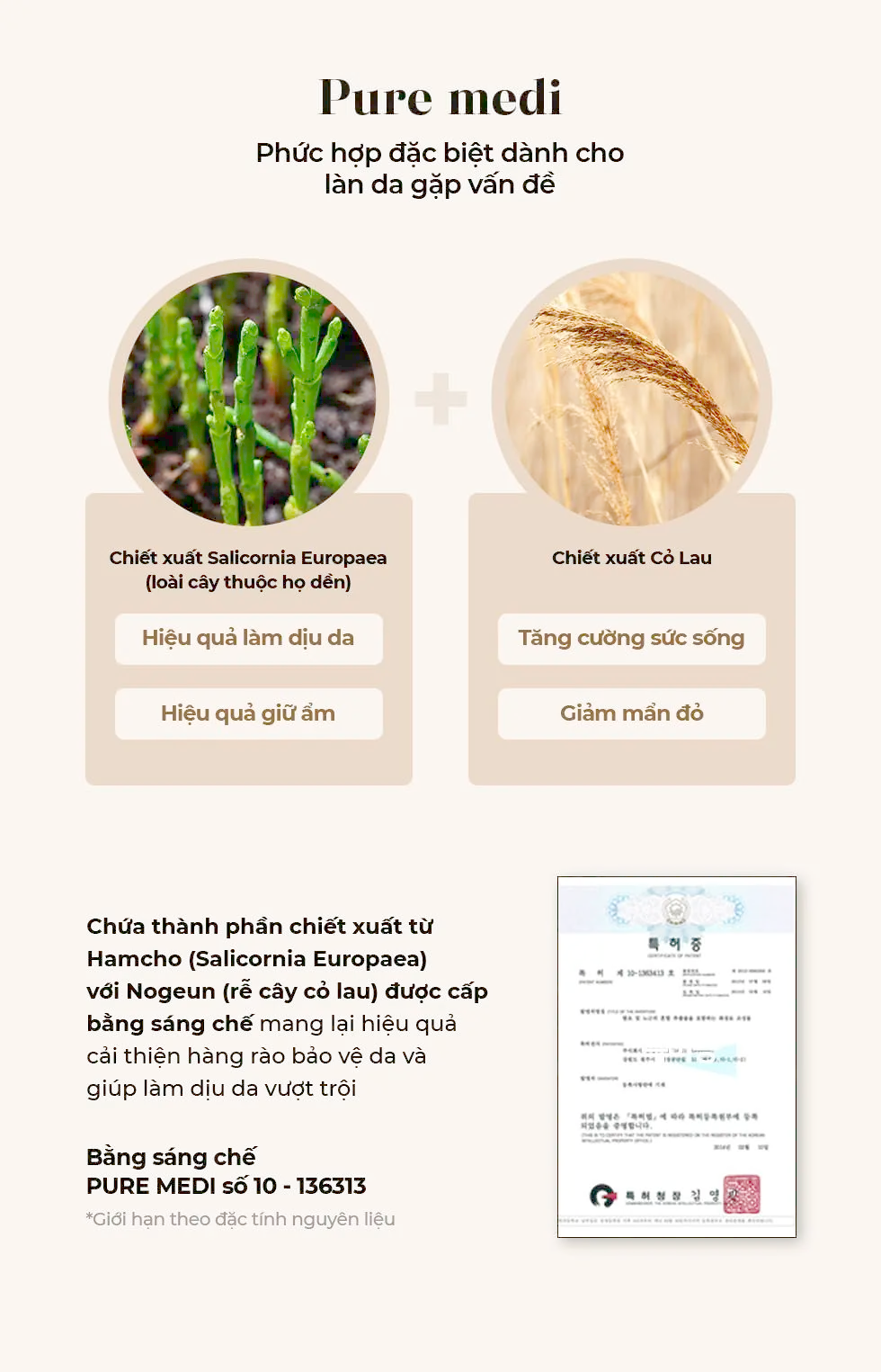 Mô tả Kem Dưỡng Da Be'Balance ALA 2X CREAM giúp Chăm Sóc Da có Vấn Đề về Mụn 50gr - 8