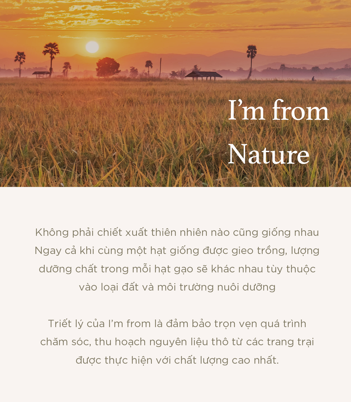 Mô tả Nước hoa hồng gạo cấp ẩm, hỗ trợ làm sáng da I'm from Rice Toner - 6