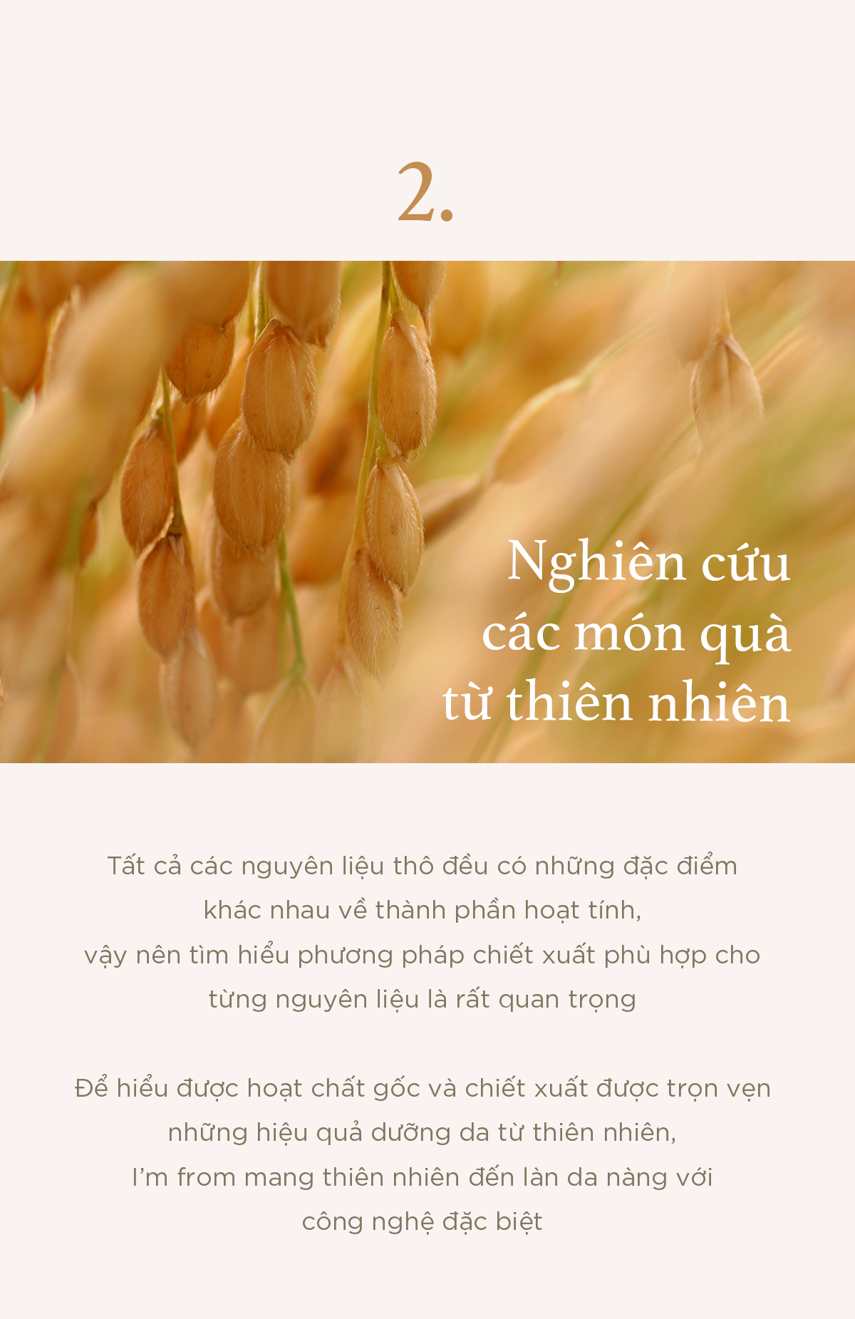 Mô tả Nước hoa hồng gạo cấp ẩm, hỗ trợ làm sáng da I'm from Rice Toner - 8