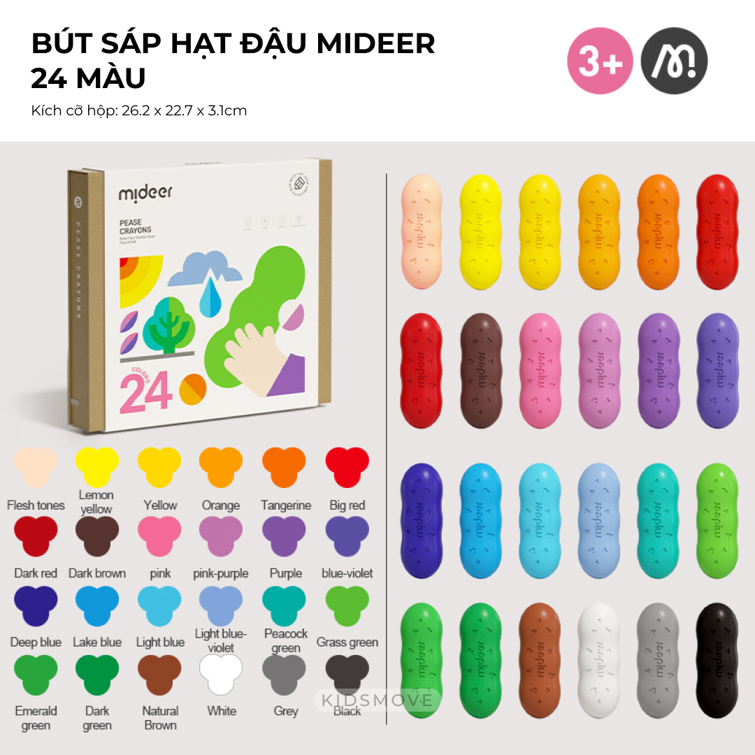 Màu Sáp Hạt Đậu Mideer 8