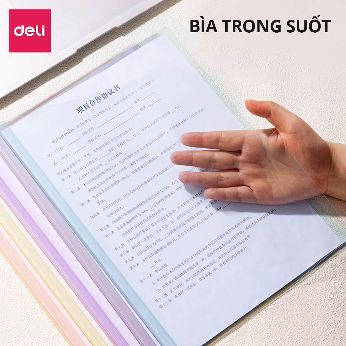 File Đựng Tài Liệu Gáy Rút Deli Bìa Trong Kẹp Tài Liệu Giấy Tờ Hồ Sơ ...