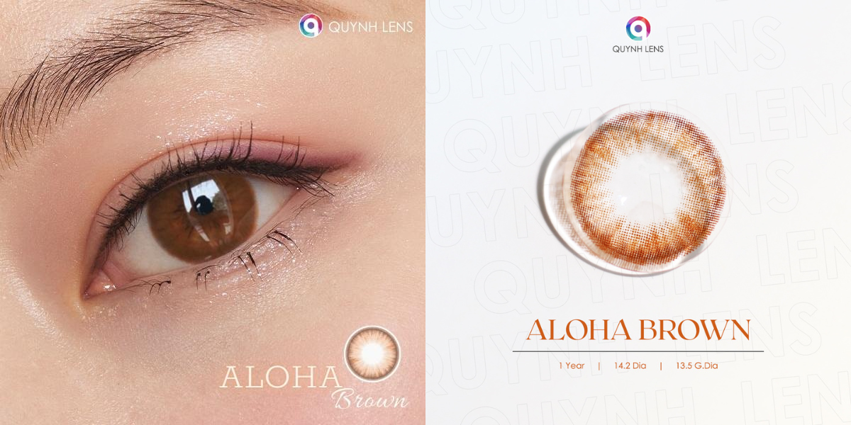 Mô tả Kính áp tròng QUYNH LENS Aloha Brown 0-8 độ - 3