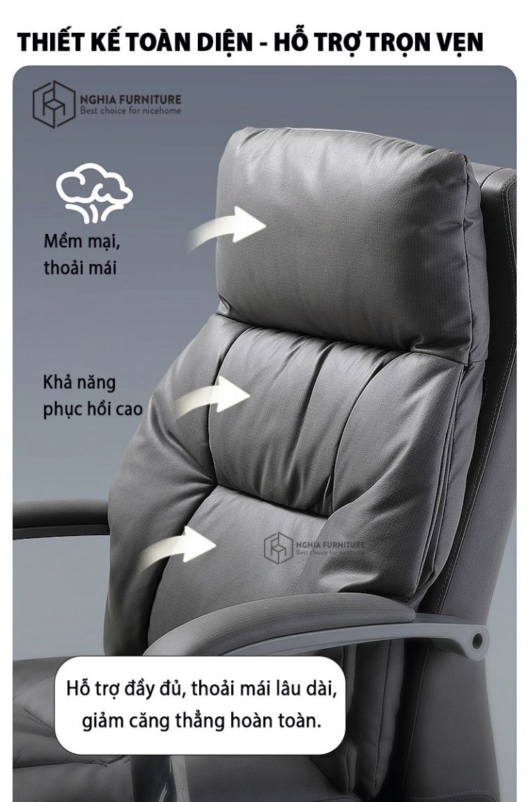 Lợi ích công thái học ghế Master Pro 02