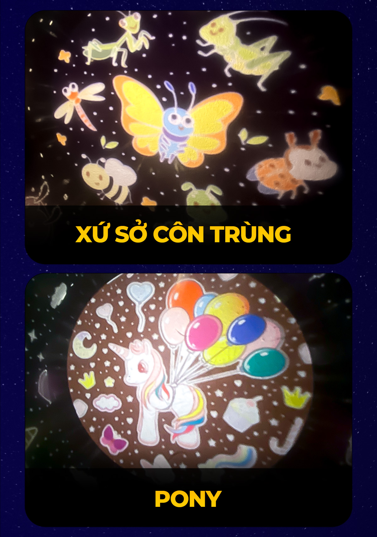 Mô tả Tấm phim chiếu Saby hình động vật biển,đại dương cho đèn ngủ chiếu sao Saby Dreamz và Saby Stories - 4