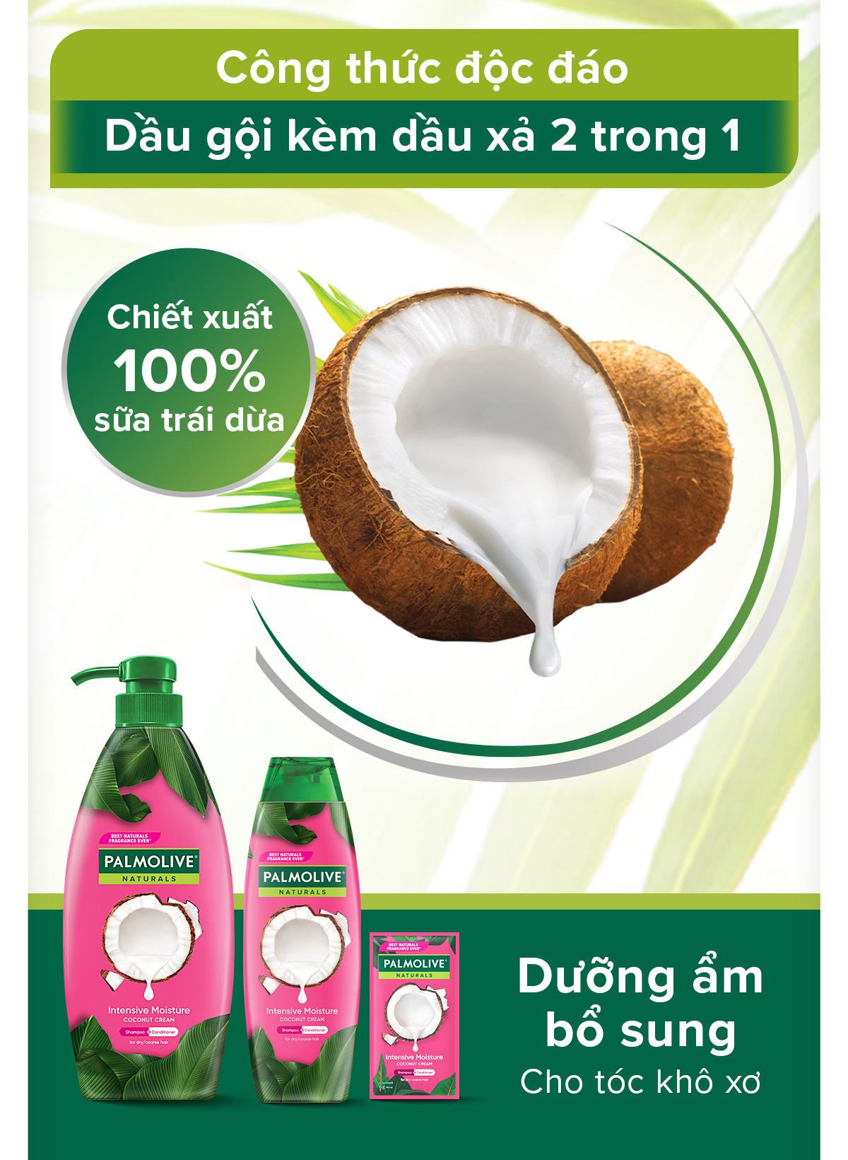Mô tả Bộ 2 Dầu gội Palmolive kèm xả 2-trong-1 chiết xuất Sữa dừa và Keratin kết hợp quả ô liu 600ml - 2