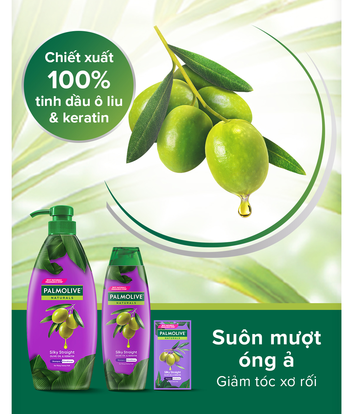 Mô tả Bộ 2 Dầu gội Palmolive kèm xả 2-trong-1 chiết xuất Sữa dừa và Keratin kết hợp quả ô liu 600ml - 3