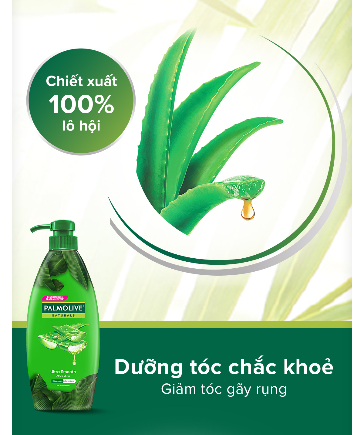 Mô tả Bộ 2 Dầu gội Palmolive kèm xả 2-trong-1 chiết xuất Sữa dừa và Keratin kết hợp quả ô liu 600ml - 4