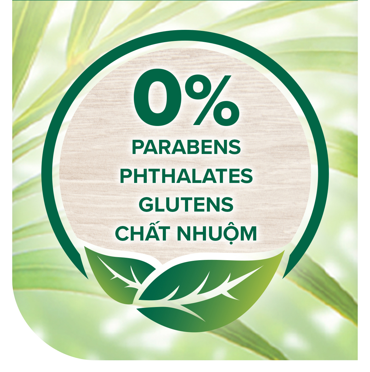Mô tả Bộ 2 Dầu gội Palmolive kèm xả 2-trong-1 chiết xuất Sữa dừa và Keratin kết hợp quả ô liu 600ml - 5