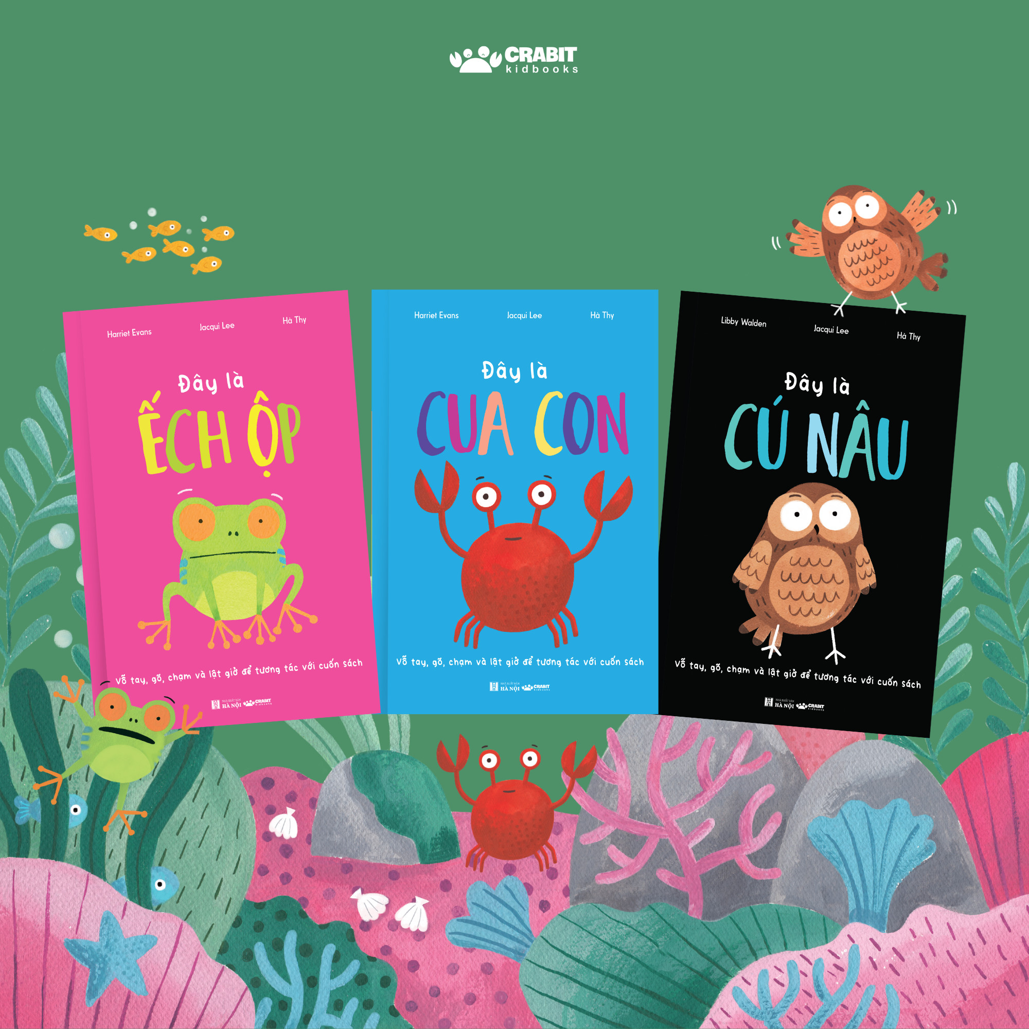 Mô tả Sách - Bộ Đây Là - Sách lật mở tương tác Crabit Kidbooks - 1
